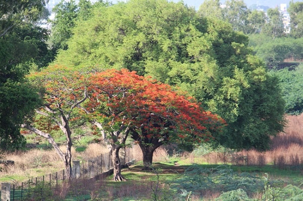 le jardin impérial d'Aurangabad, circuit à pied, walking tour