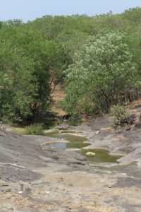 Nature en Inde, Nature in India