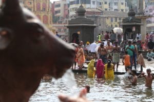 The holy place in Nashik