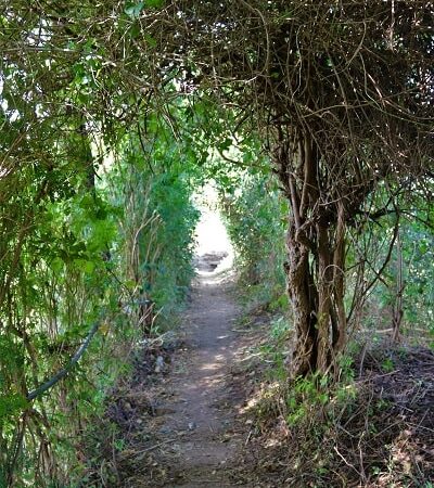 Chemin à Charthana, path at Charthana