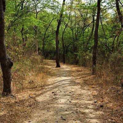 chemin autour du lonar lake, path around lonar lake