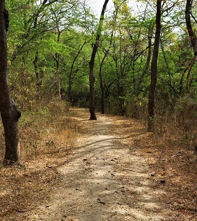 chemin autour du lonar lake, path around lonar lake