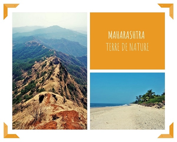 terre de nature, voyager en inde depuis chez soi