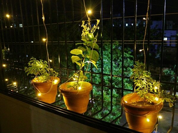 Diwali, lumière